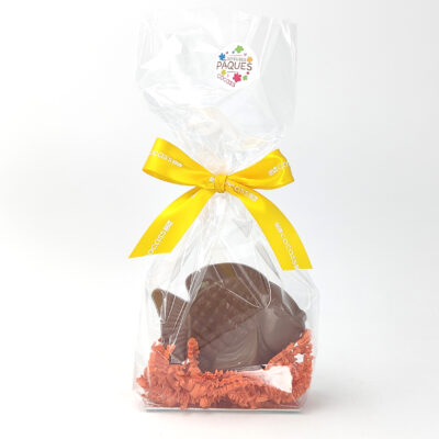 Petit poisson en chocolat au lait