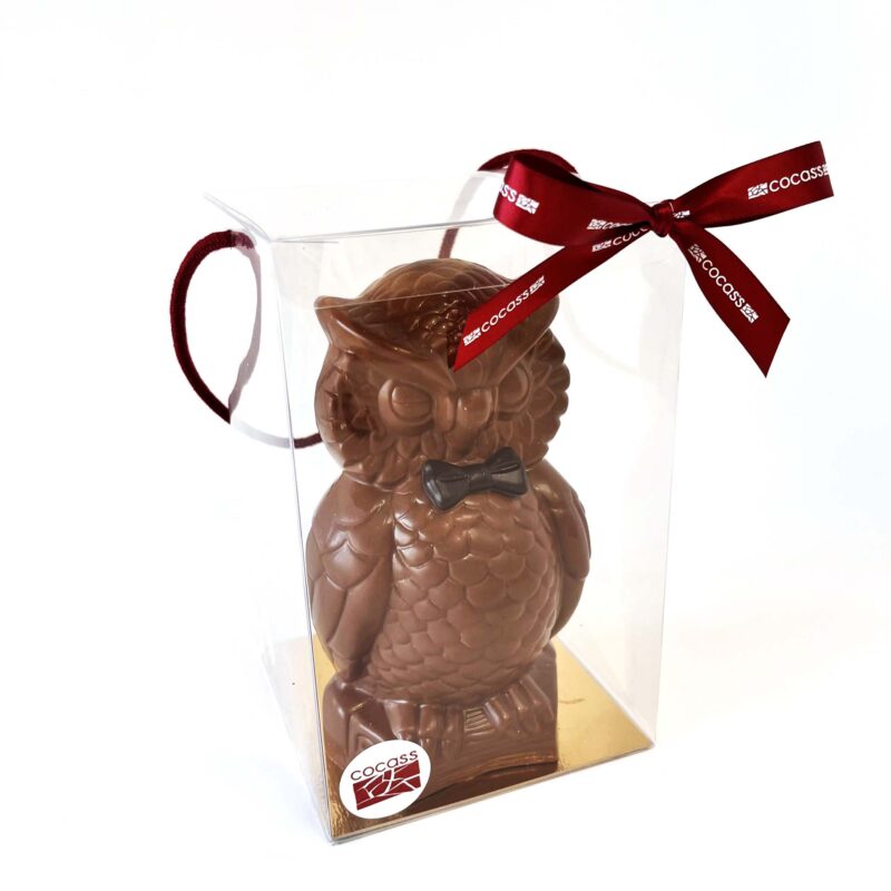 Hibou en chocolat au lait, dans sa boite cadeau transparente. – Image 2