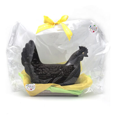 Poule géante 42 cm - 1,2 Kg en chocolat au lait