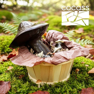 La cueillette de champignons en chocolat, c’est Cocass !!