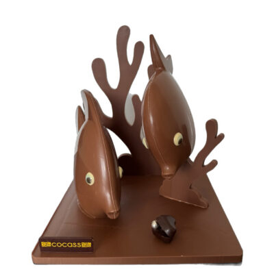 Poissons tropicaux en chocolat Cocass