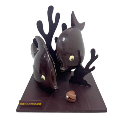 Poissons tropicaux en chocolat Cocass